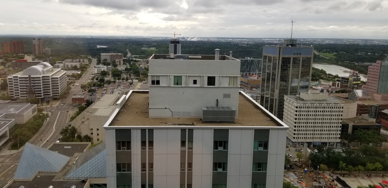 20190806_095428.jpg