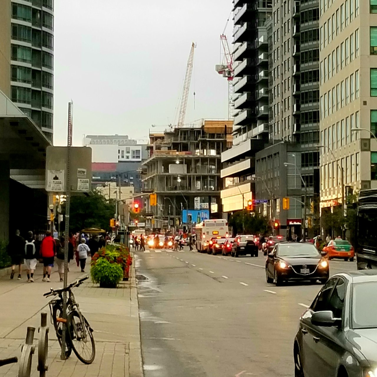 20190830_093922.jpg