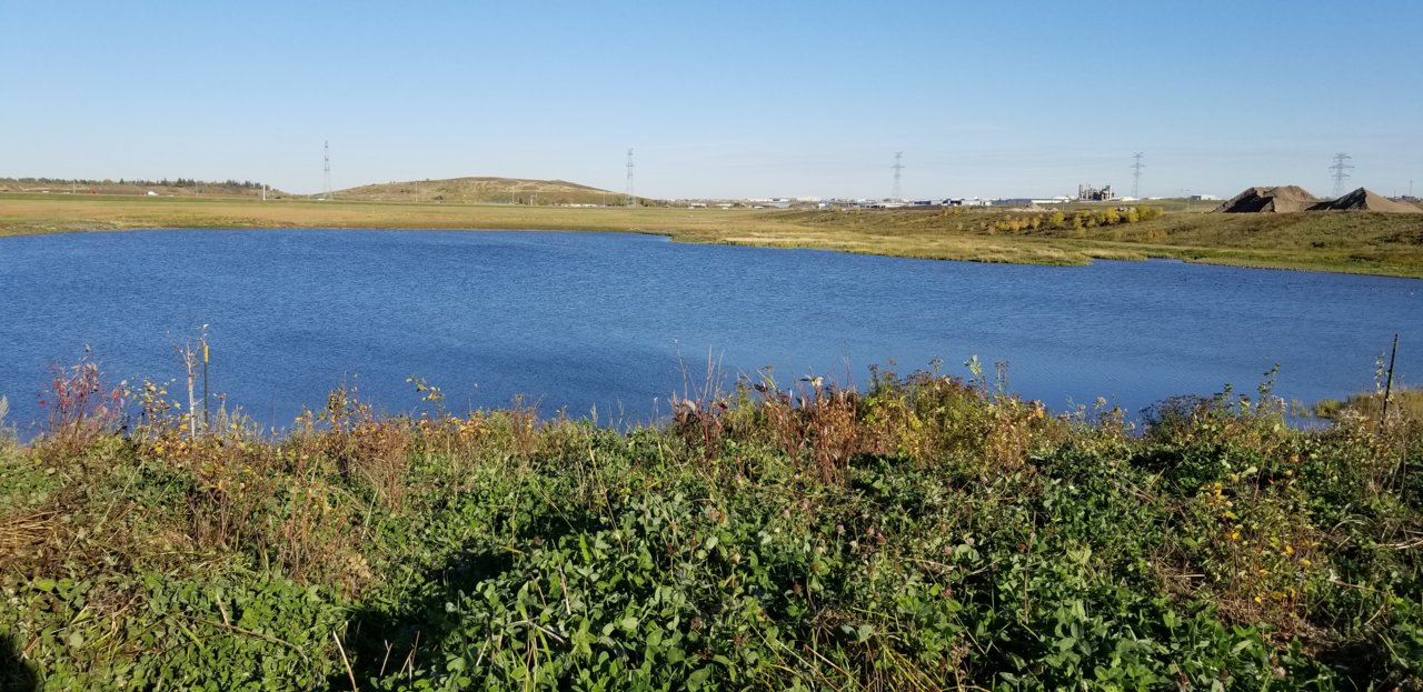20190921_171836.jpg