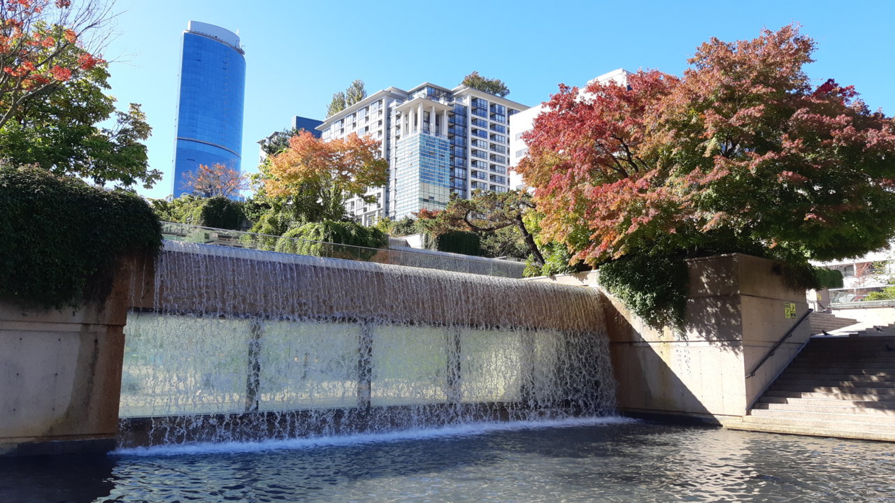 20191009_125314.jpg