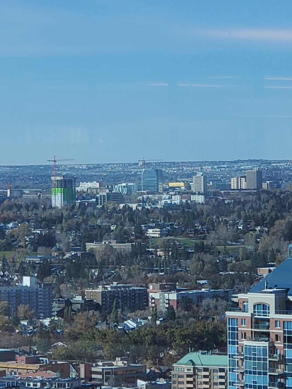 20191011_153018.jpg