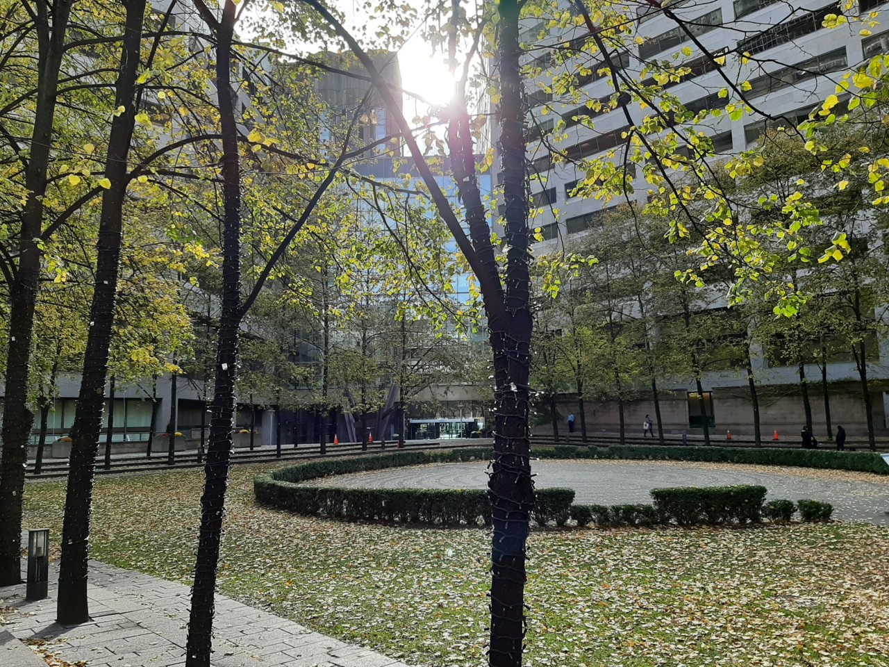 20191104_133953.jpg