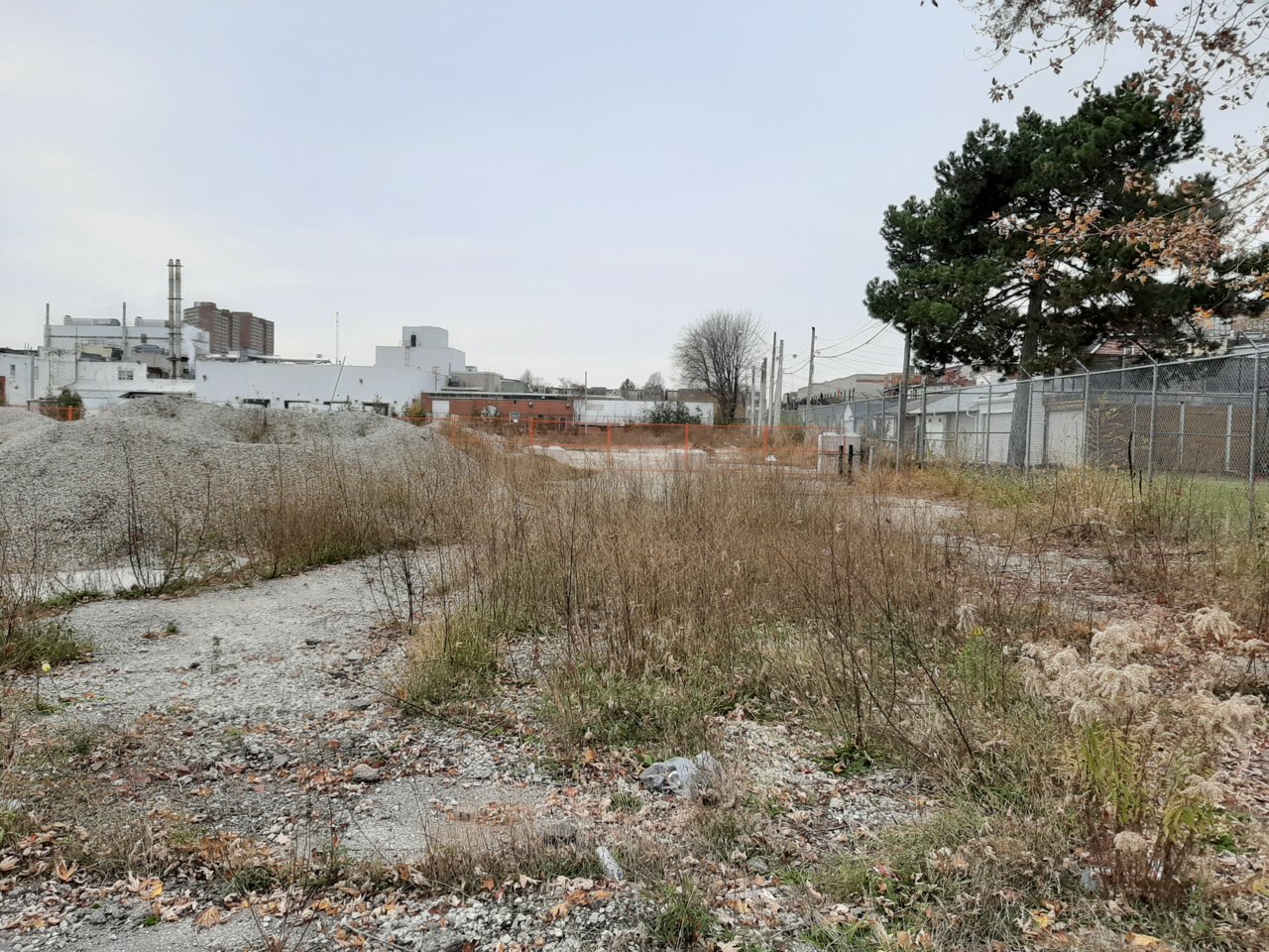 20191110_084930.jpg