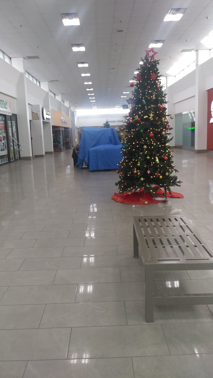 20191215_111025.jpg