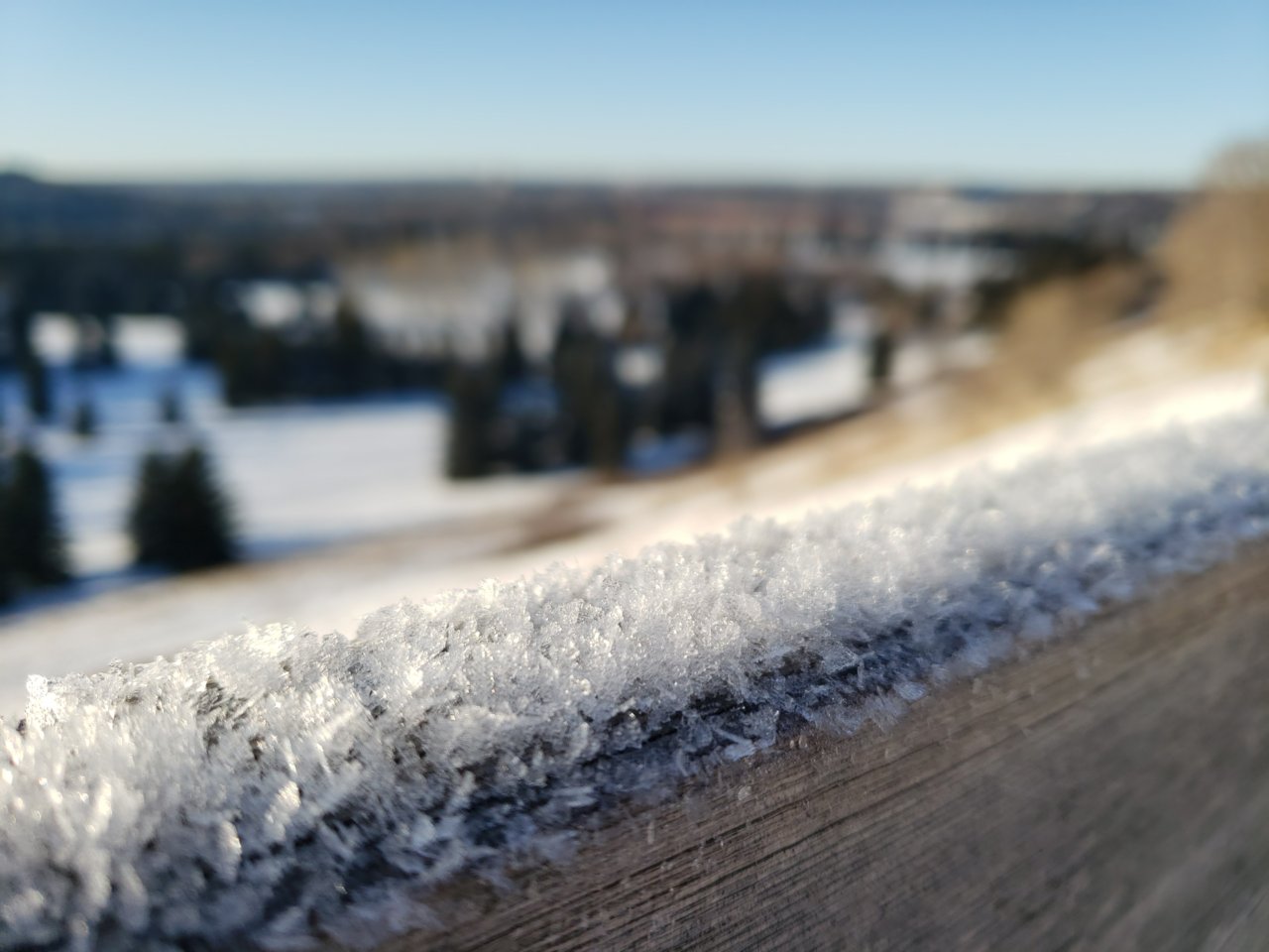 20191225_105438.jpg