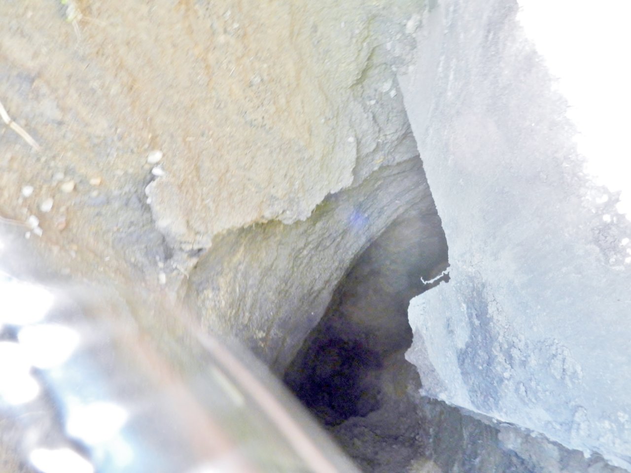 2020-06-03 001.JPG
