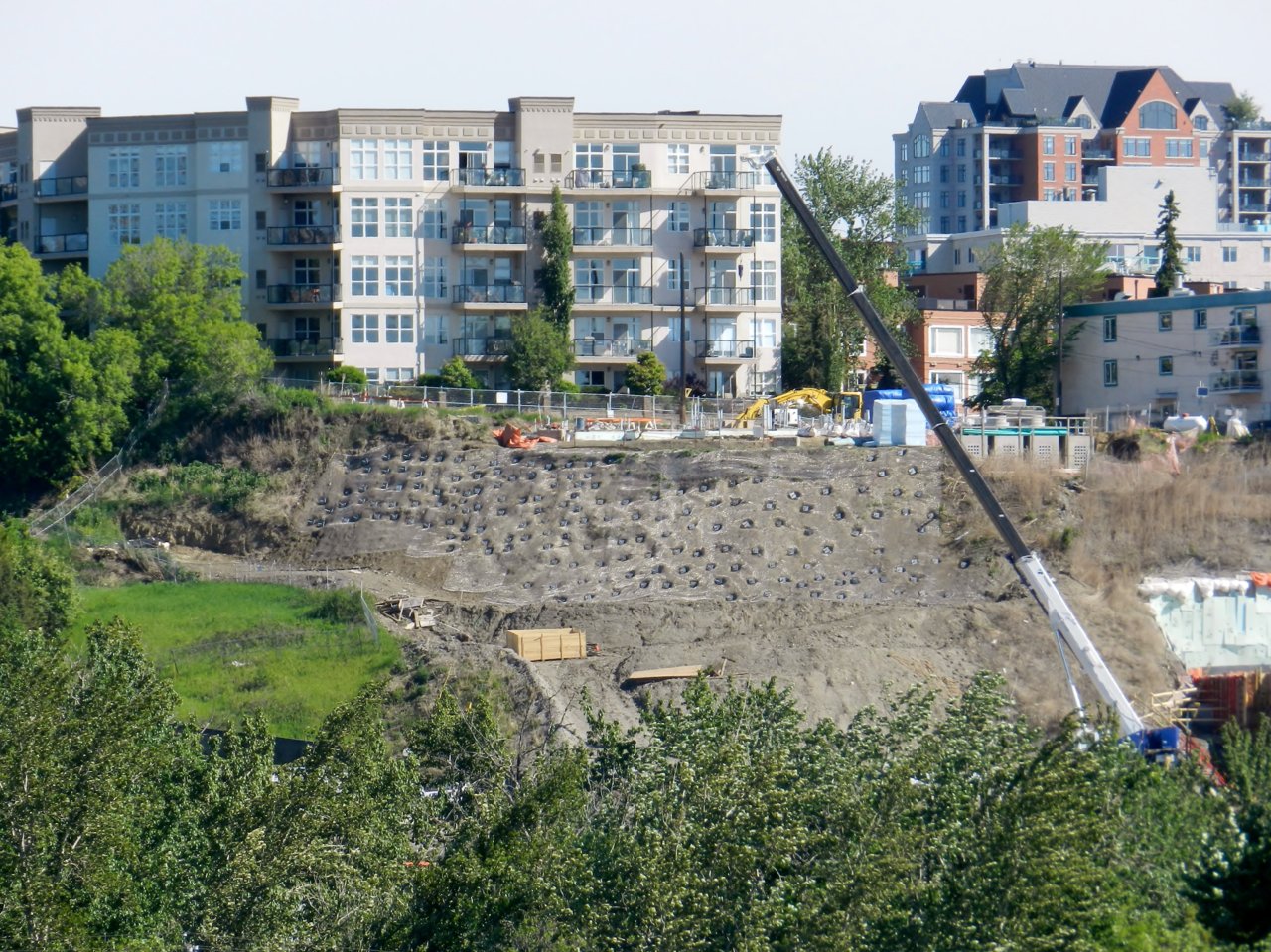 2020-06-03 041.JPG