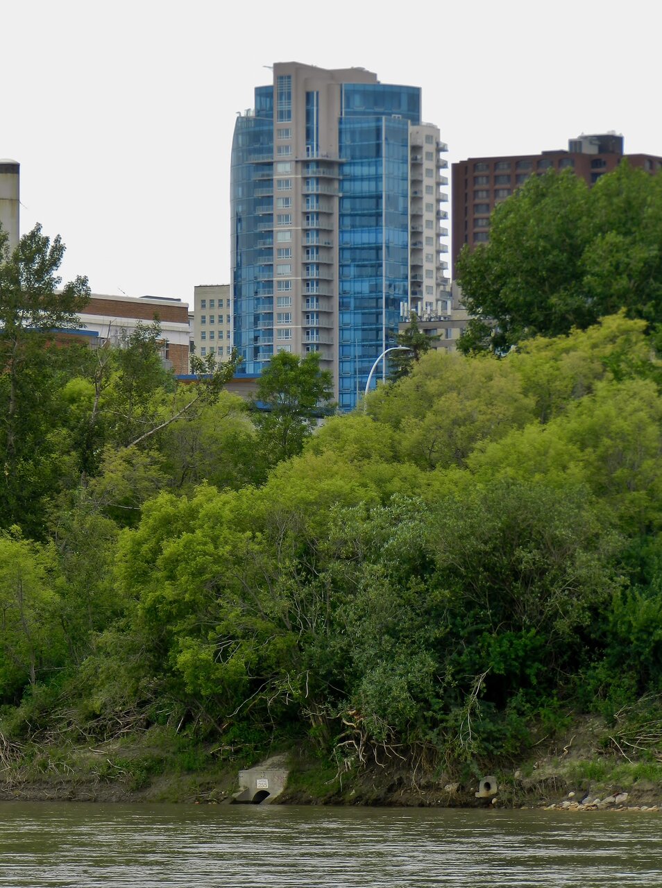 2020-06-26 133.JPG