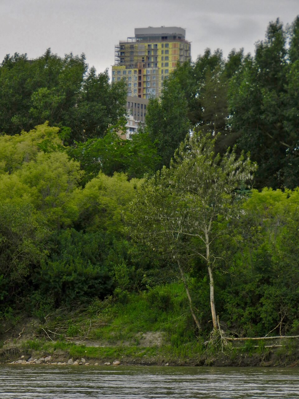 2020-06-26 164.JPG