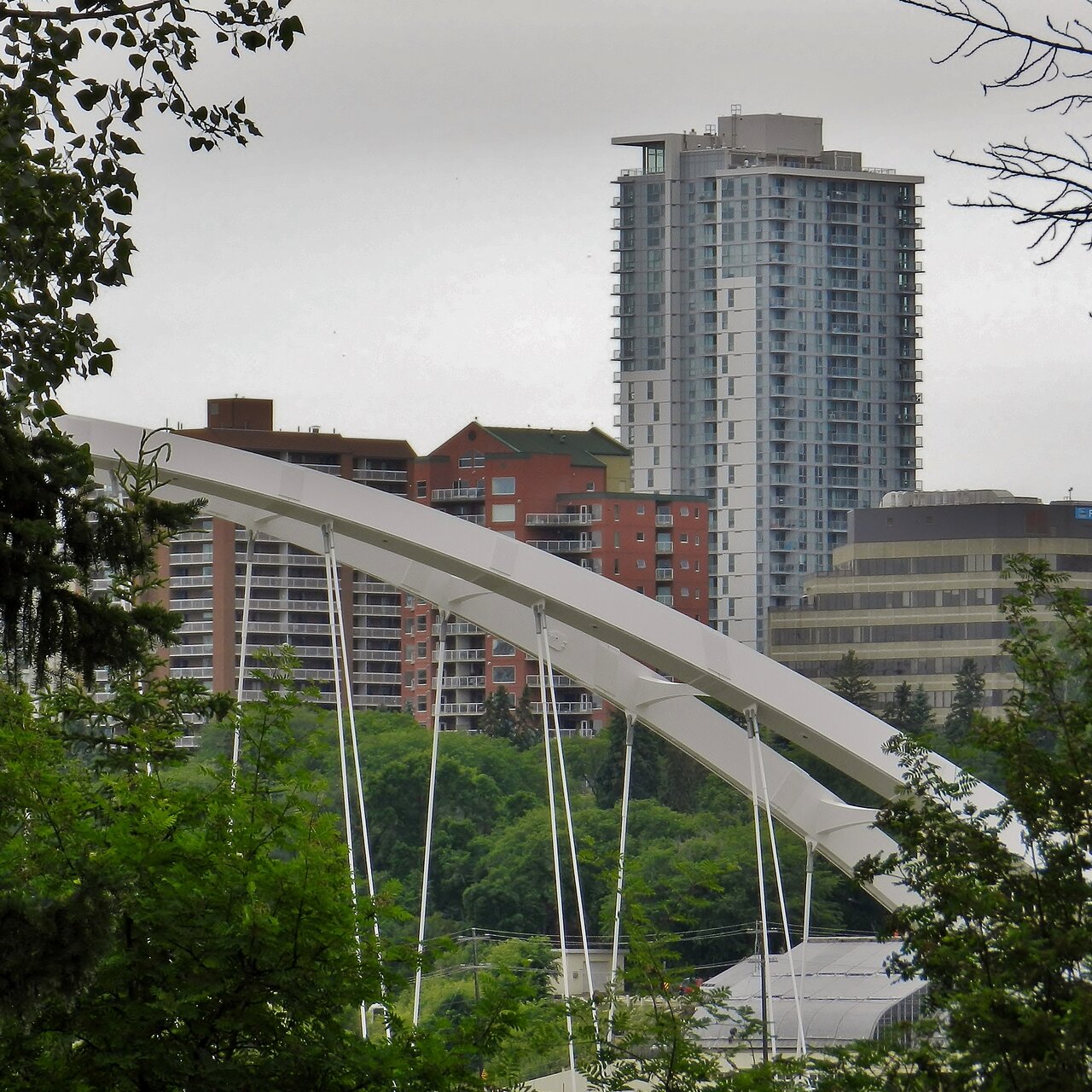 2020-06-26 199.JPG