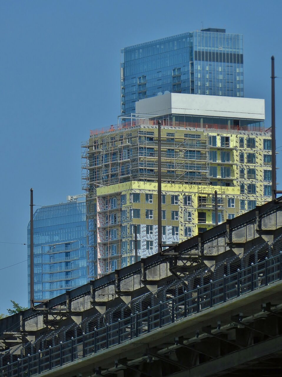 2020-08-02 405.JPG