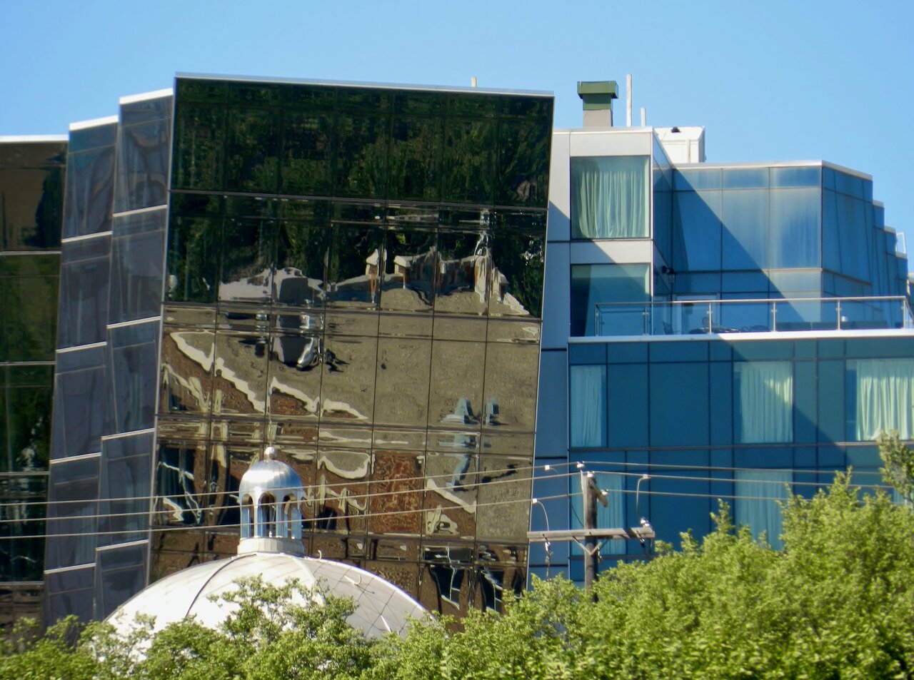 2020-08-05 101.JPG