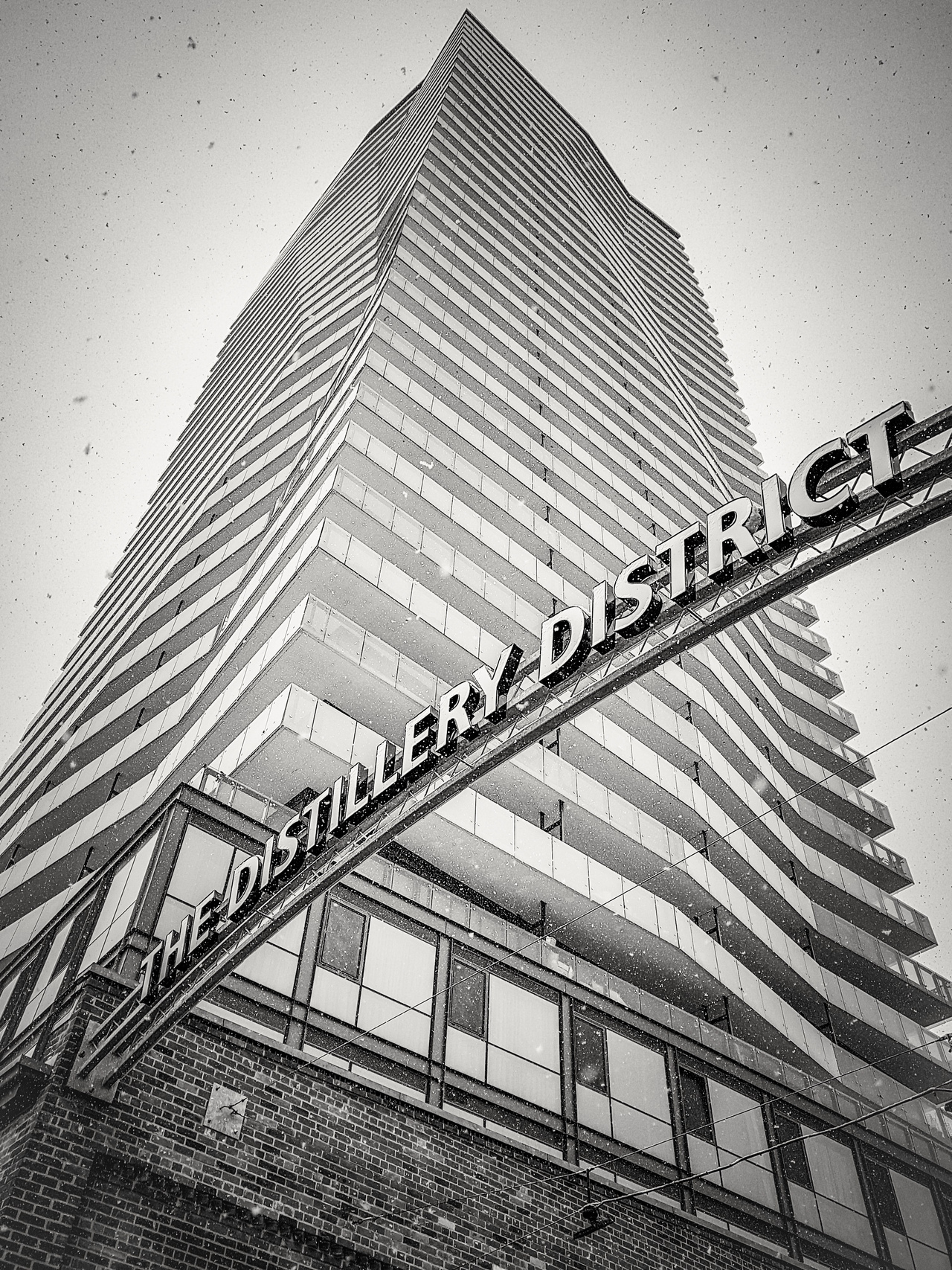 2020-11-24_11-47-21 (3).jpg