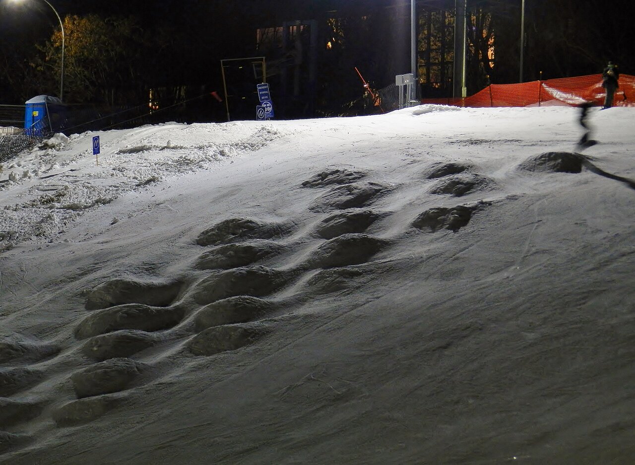 2020-12-08 032.JPG