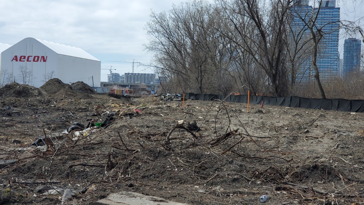 20200404_132937.jpg