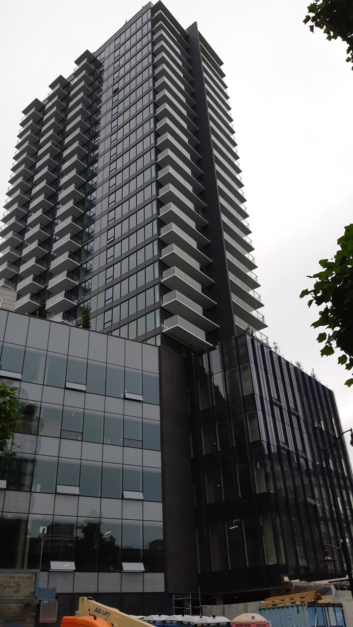 20200622_165650.jpg