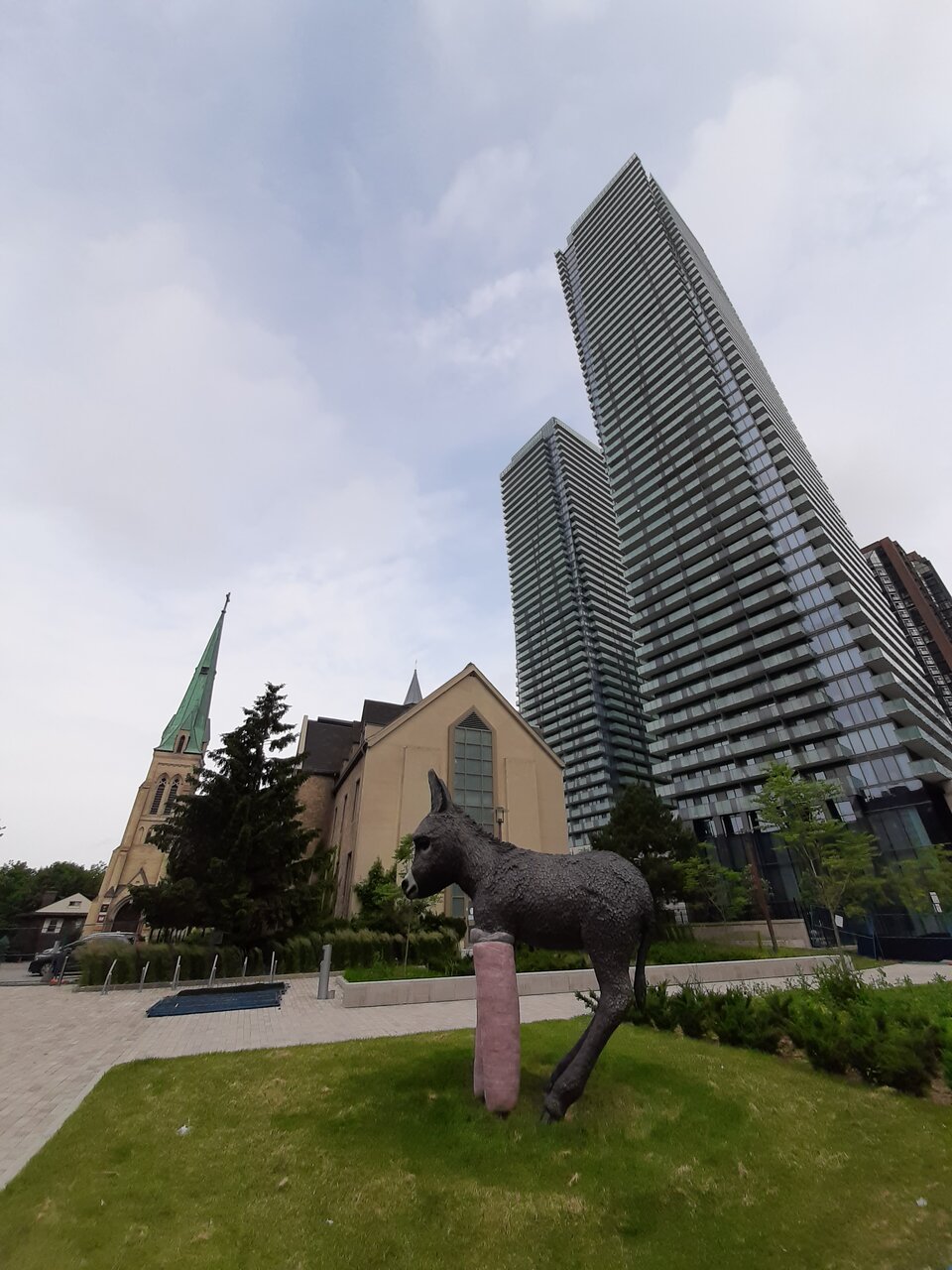 20200623_102105.jpg