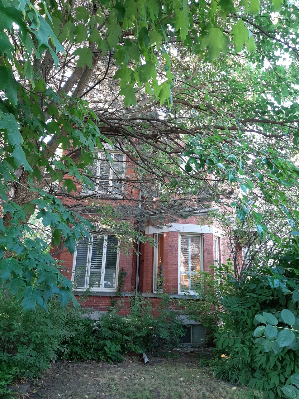20200712_080234.jpg