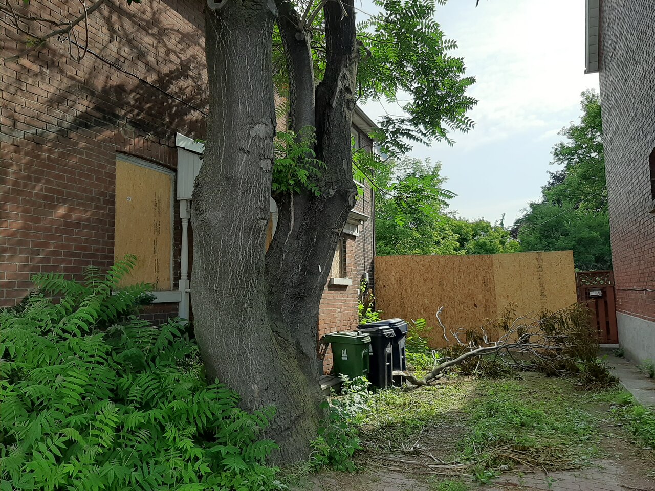20200719_093157.jpg
