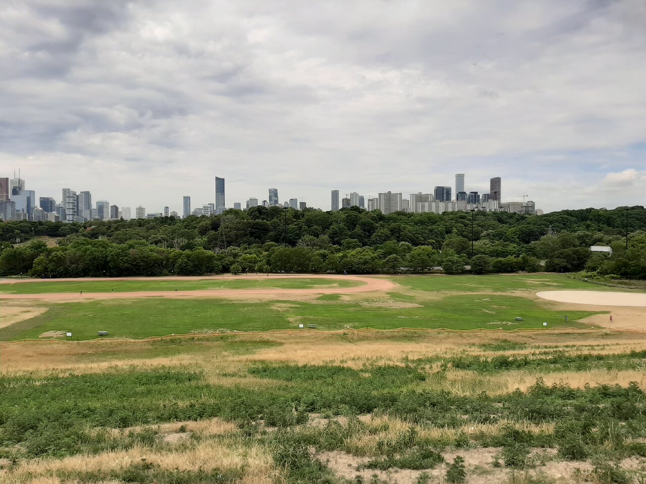20200721_124203.jpg