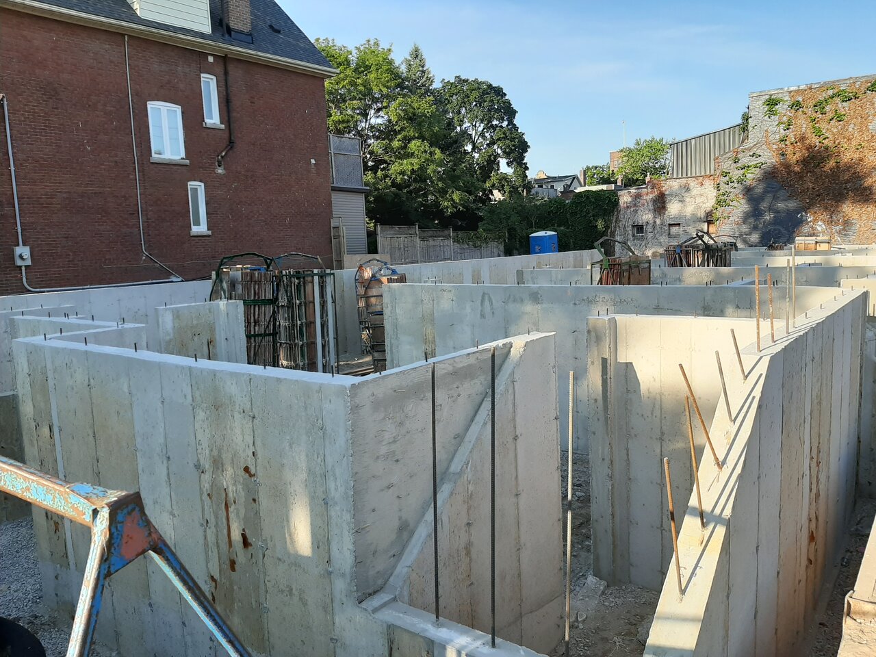 20200726_080142.jpg