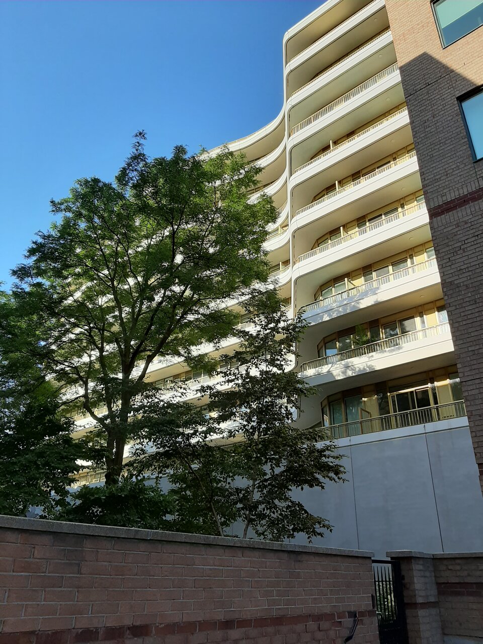 20200726_081851.jpg