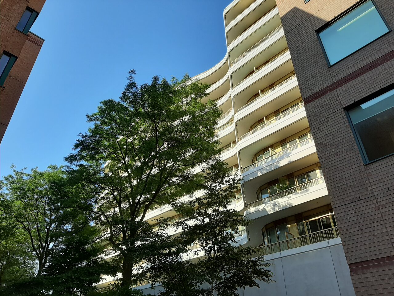 20200726_081857.jpg