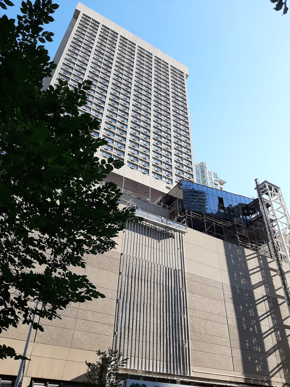 20200726_084224.jpg