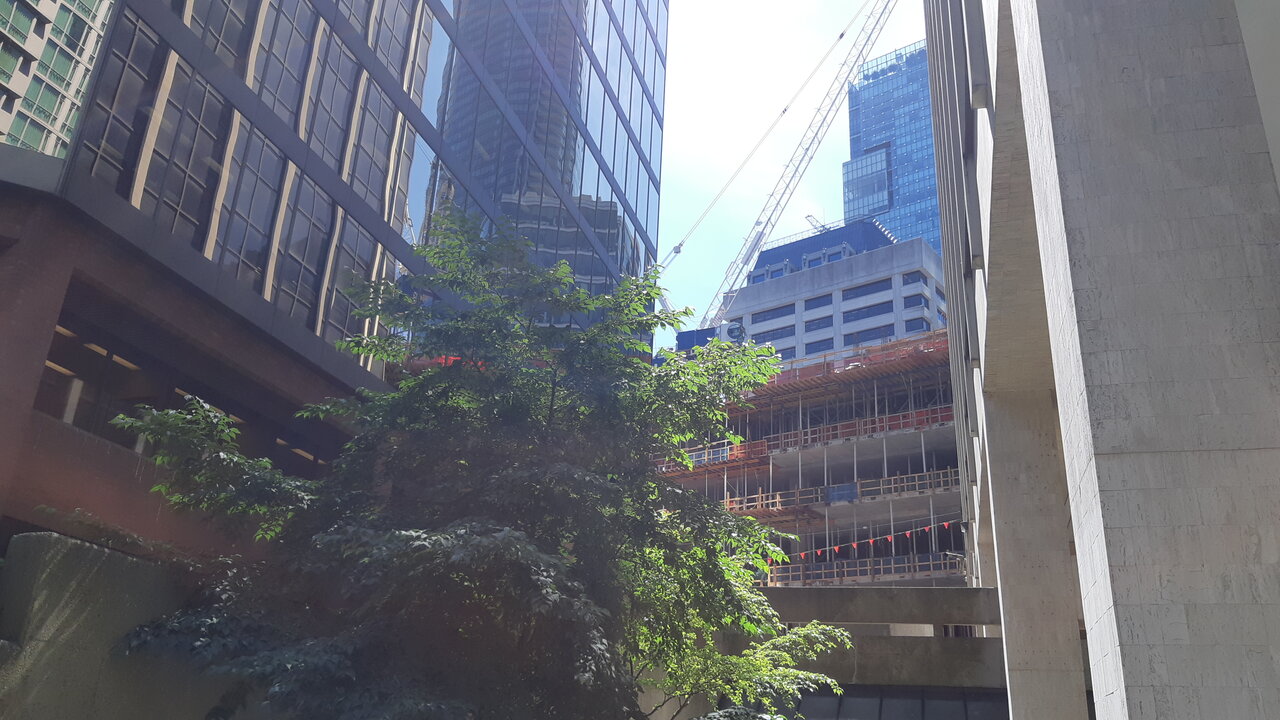 20200727_133409.jpg