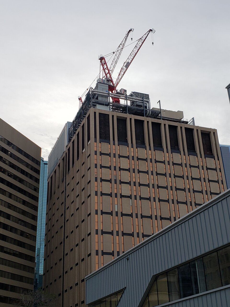 20200729_194502.jpg