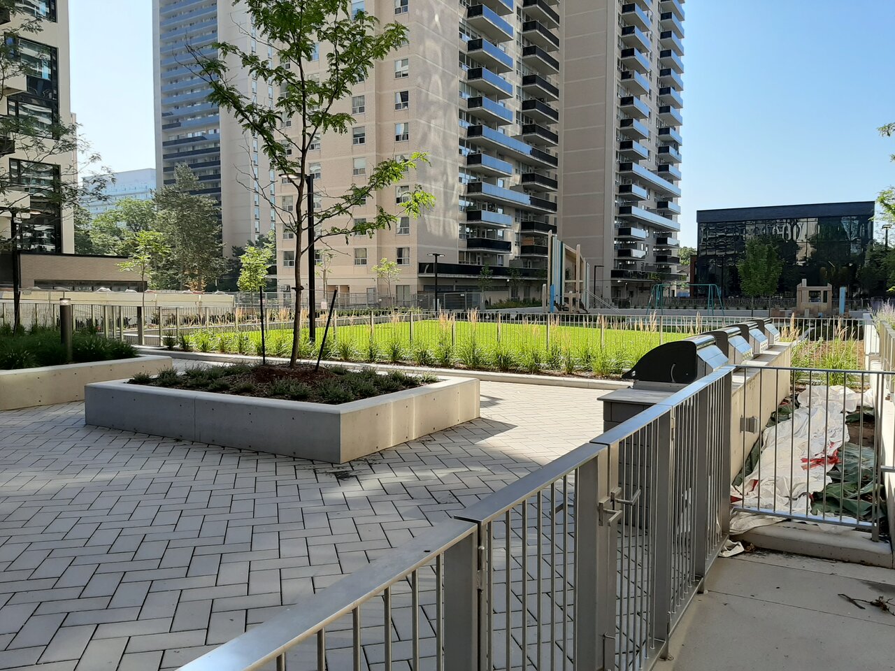 20200808_091646.jpg