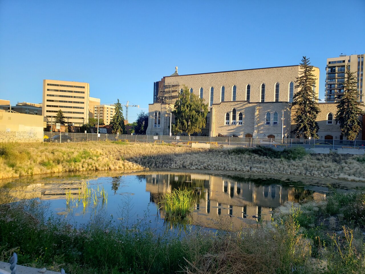 20200813_200148.jpg