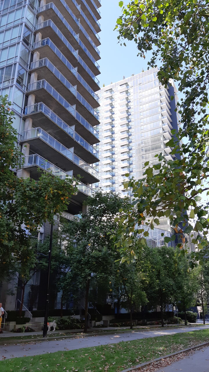20200816_115913.jpg