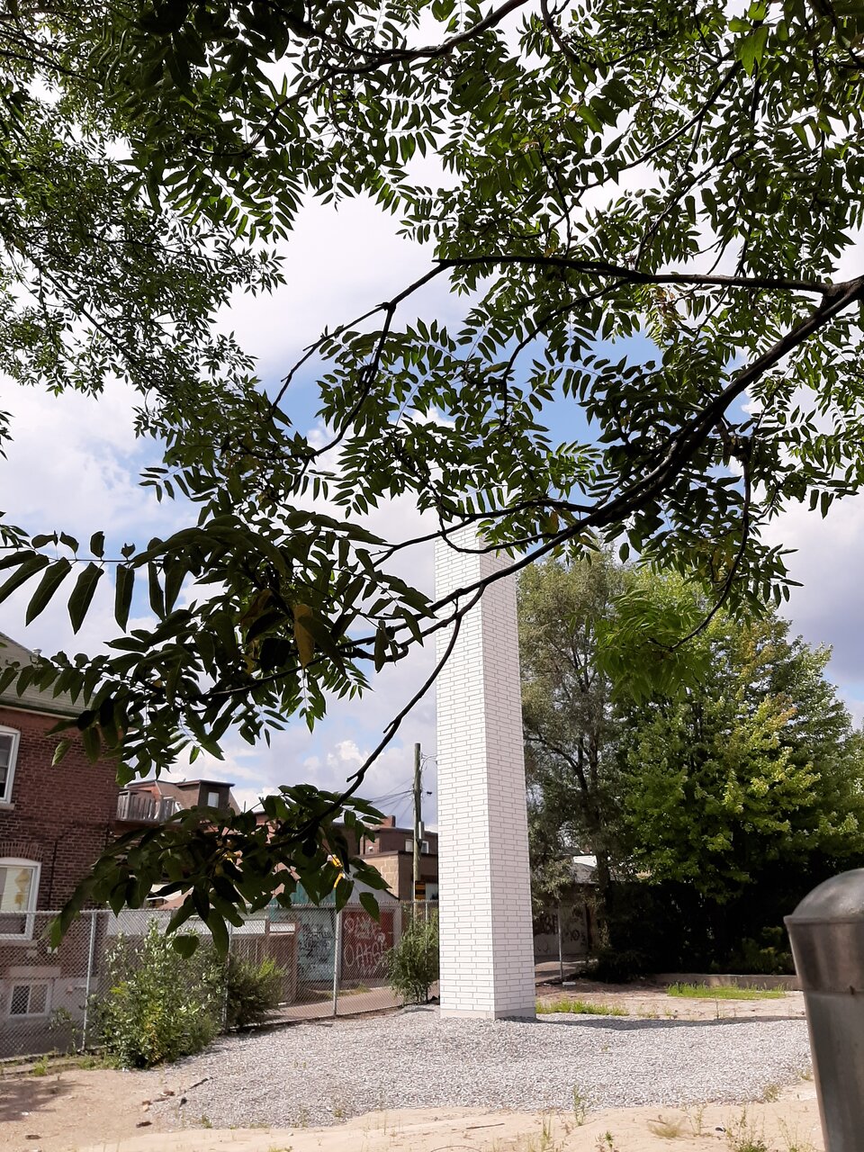 20200817_140545.jpg
