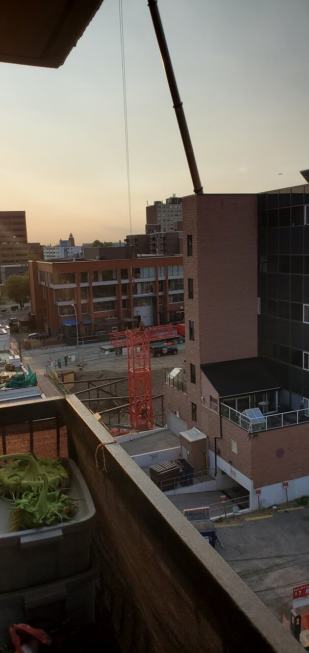 20200905_080255.jpg