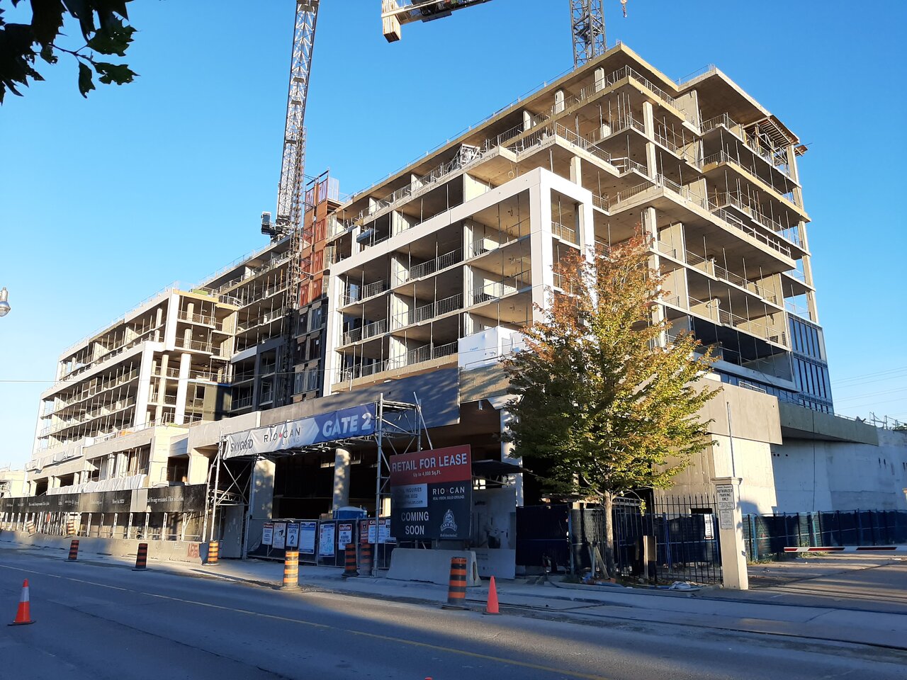 20200906_072008.jpg