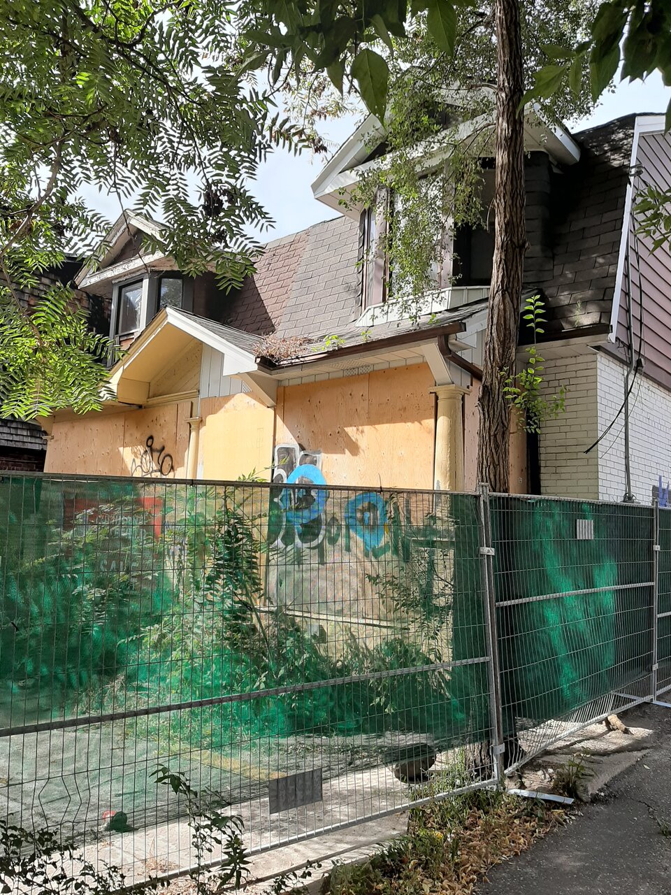 20200906_110125.jpg