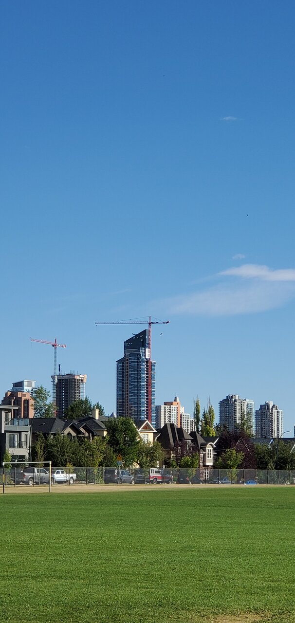20200911_170031.jpg