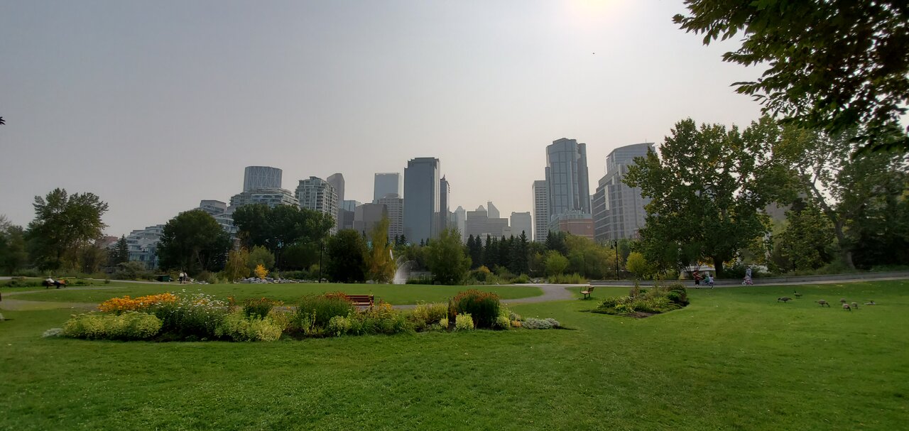 20200918_143748.jpg