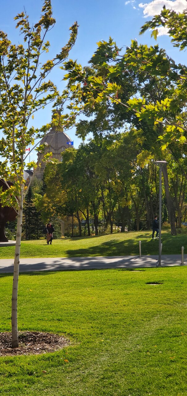 20200927_154708.jpg