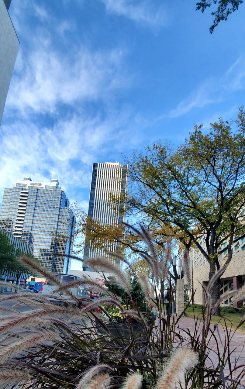 20200927_201656.jpg