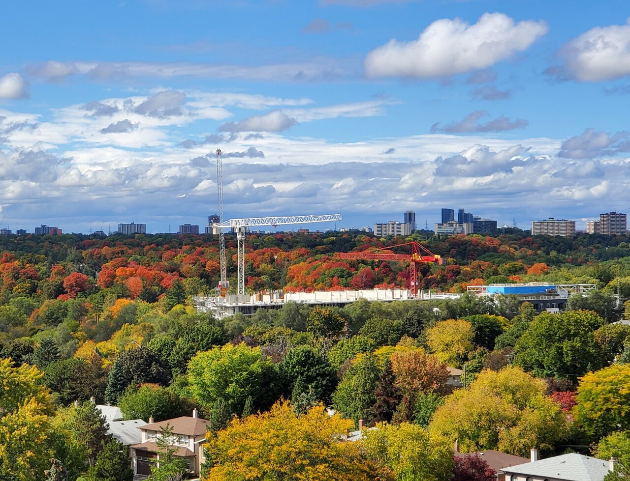 20201002_142007.jpg