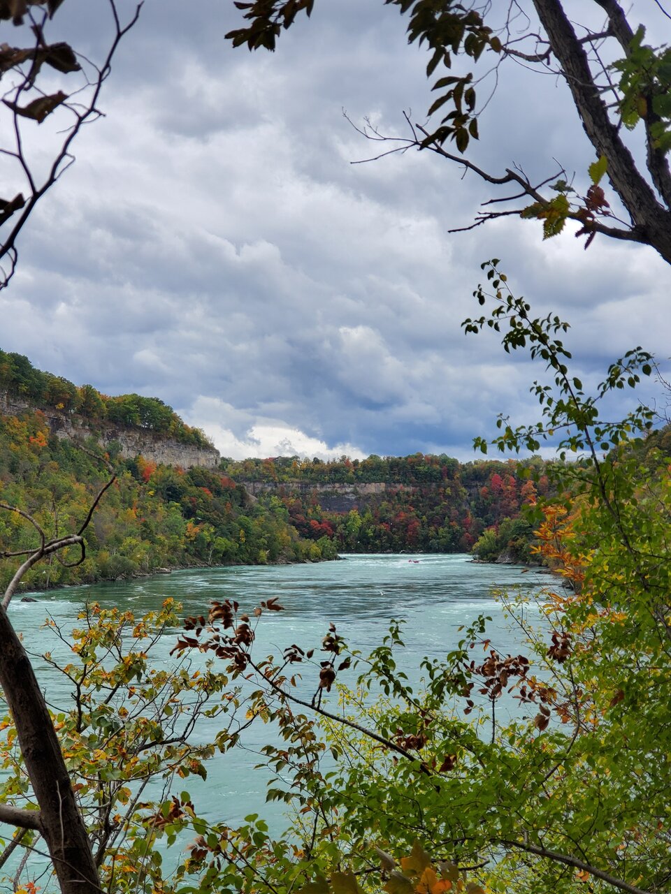 20201003_134136.jpg