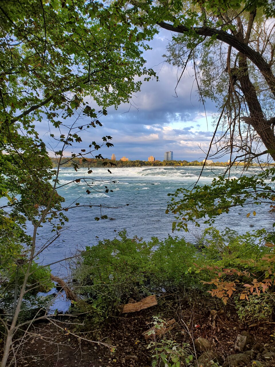 20201003_174940.jpg