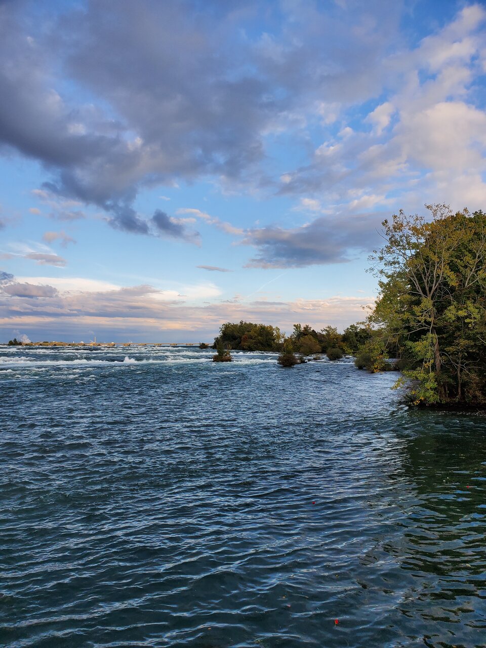20201003_175236.jpg