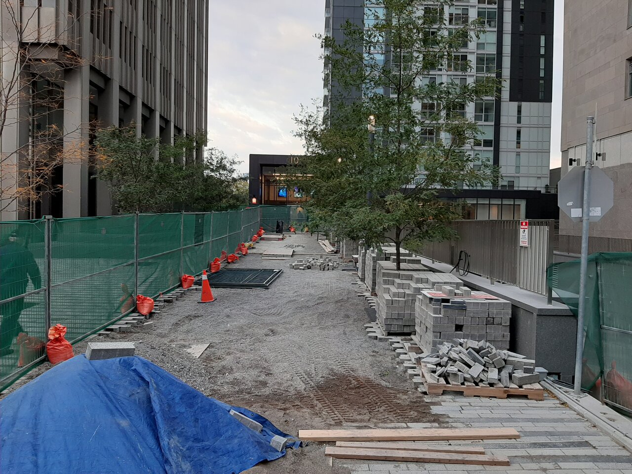 20201006_181017.jpg
