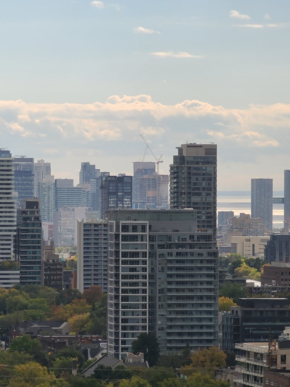 20201008_132024.jpg