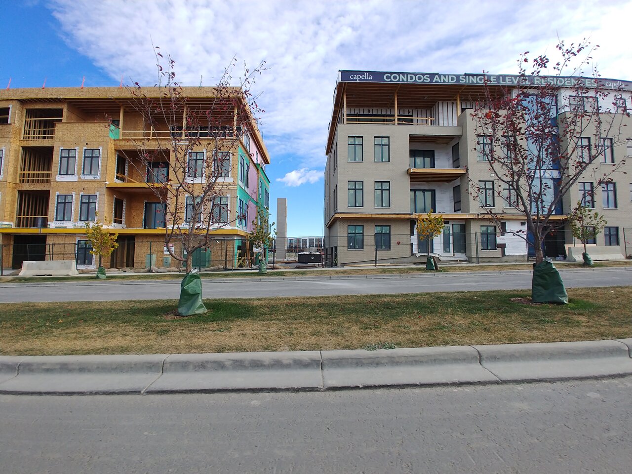 20201011_115807.jpg