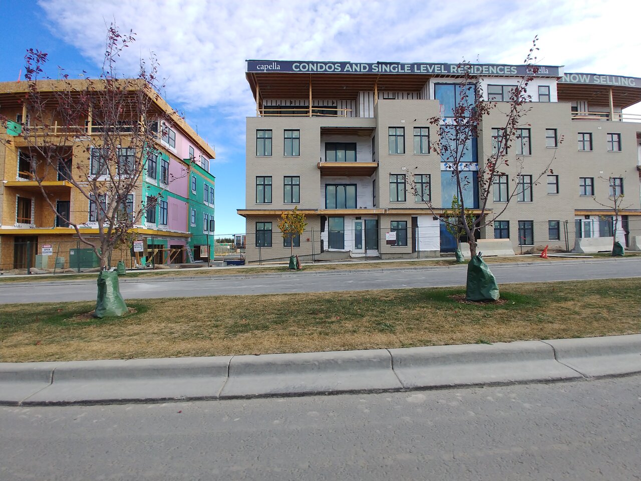 20201011_115809.jpg