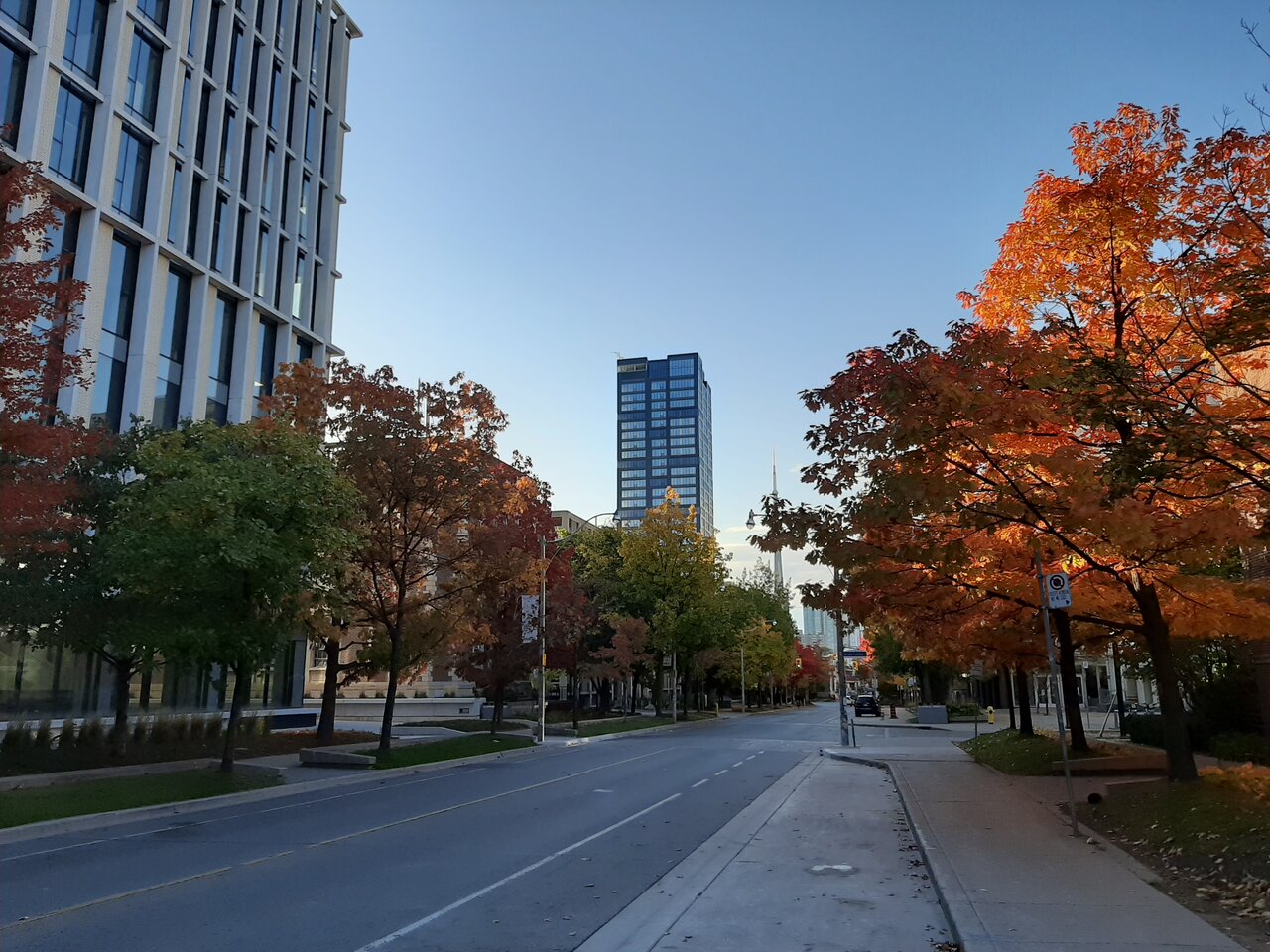 20201017_090111.jpg